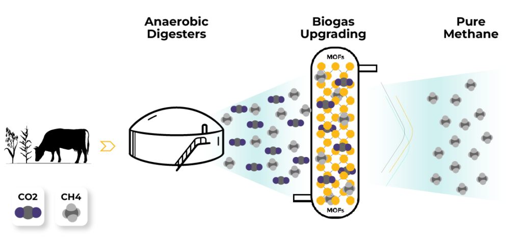 Banner Biogas Upgrading 1024x467 1 